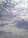 090903_1038~01.JPG