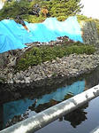 091003_1646~01.JPG