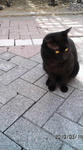 100314_1307_020001.jpg