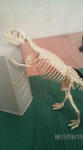 100316_1101_010001.jpg