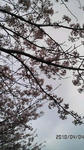 100404_1509_02.jpg
