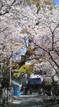 100410_0904_01.jpg