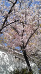 100410_0905_01.jpg