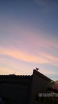 100413_1822_01.jpg