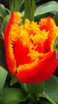 100418_1435_01.jpg