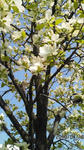 100418_1449_01.jpg