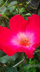 0b28f945.jpg