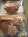 201005190003000.jpg