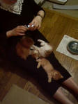 201005231058000.jpg