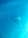 SH3E00250002.jpg