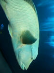 SH3E0017.jpg