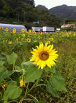 IMG_11040001.jpg