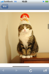 IMG_1097.png