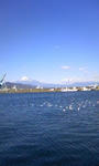 110130_1443_01.JPG
