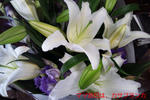 20110809_130105.jpg