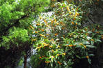 DSC_1083.jpg