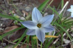 DSC_1953.jpg