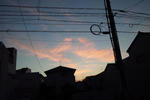 DSC_2195.JPG
