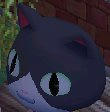 b165d9be.jpg