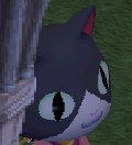 5239ee01.jpg