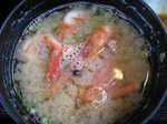 IMG_0545.png