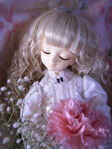 f78bfa48.jpg