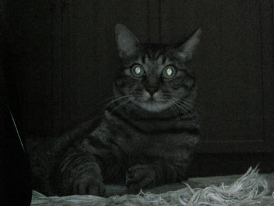 aSBSH0552.JPG