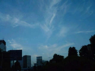 PA0_0012.JPG