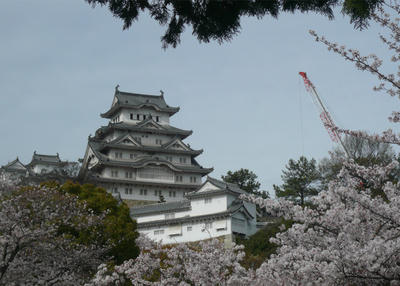 桜と城と、クレーンと。