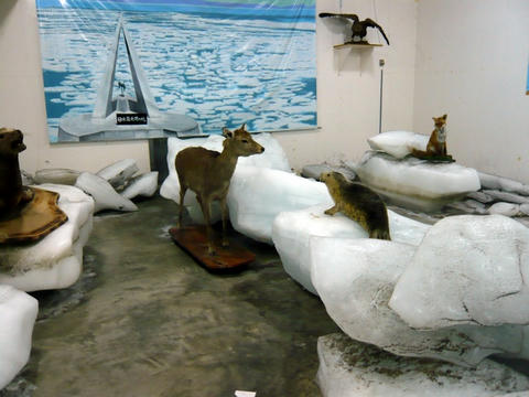 宗谷岬流氷館内部
