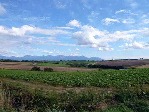 美瑛の丘から十勝岳連峰を望む