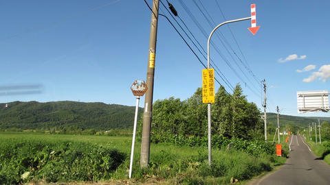 道道445号終点