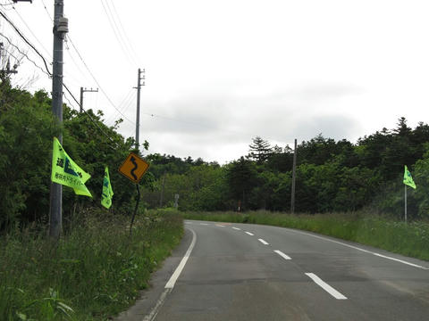 道道444号稚咲内豊富停車場線