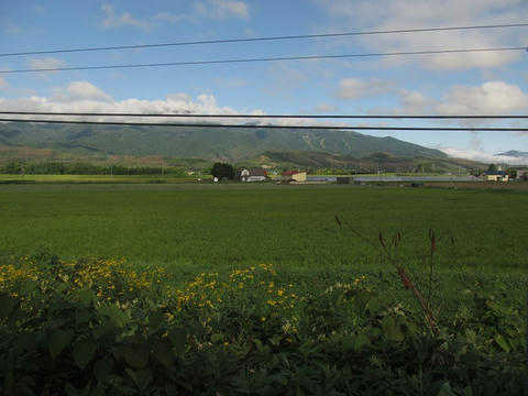 根室本線から富良野スキー場を望む