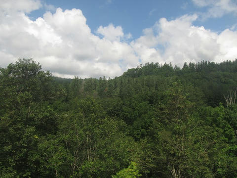 石勝線沿線風景