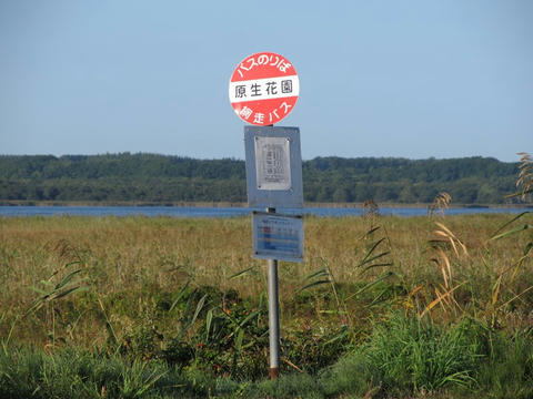 原生花園バス停