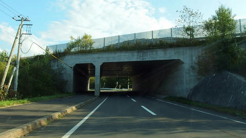 道道849号日東東雲線