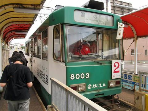 函館市電8003号車＠谷地頭電停