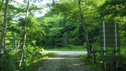 道道970号蛾眉野原木線