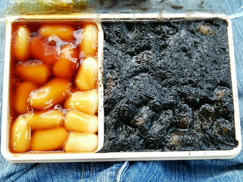 大沼だんご（みたらし・ごま）