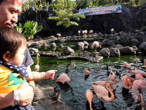 Jatim Park2 Batu Secret Zoo