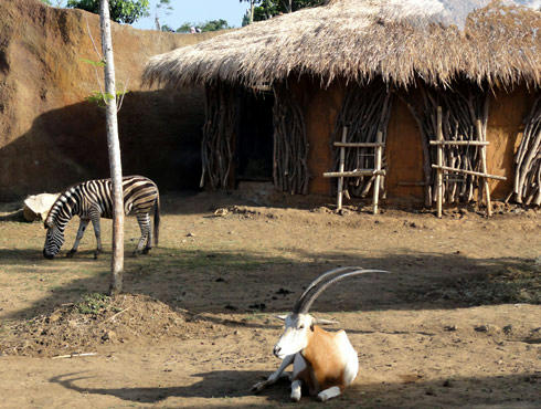 Jatim Park2 Batu Secret Zoo