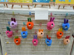 DSCN5389.JPG