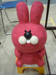 DSCN5388.JPG