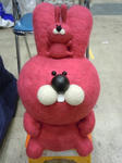 DSCN5394.JPG