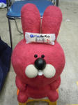 DSCN5402.JPG