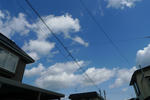 P1010015.jpg