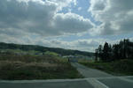 P1010017.jpg