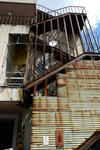 P1010033.jpg