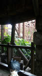 DVC00273.JPG